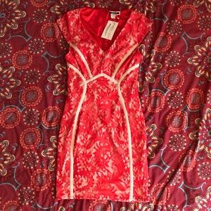 Nikibiki formal lace midi dress NWT